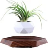 Magnetic Levitation Flower Pot Rotating Planters Suspension Floating Plant Succulents Potted