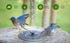 LAST DAY 49% OFF Solar-Powered Bird Fountain Kit