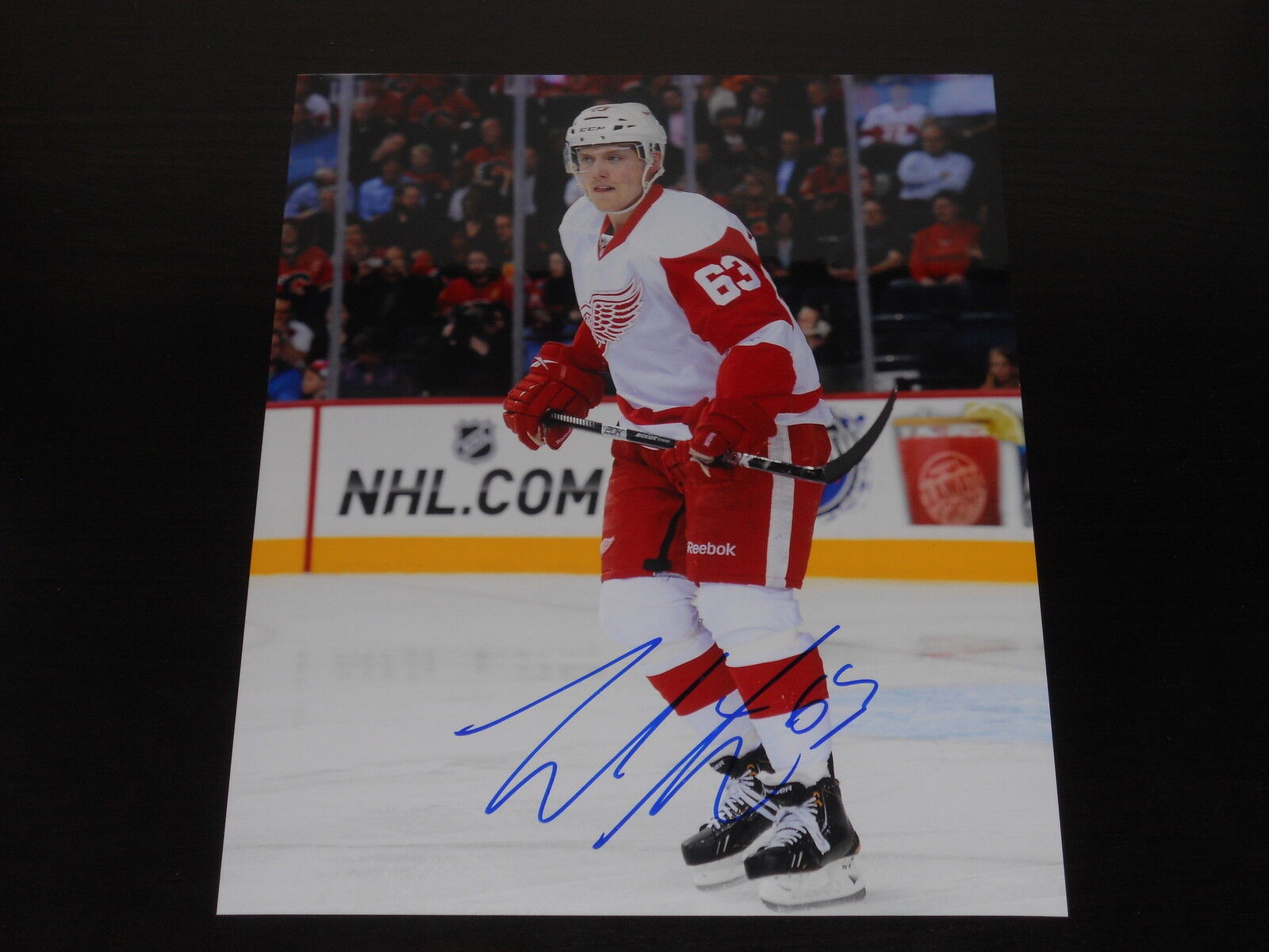 JOAKIM ANDERSSON autographed DETROIT RED WINGS 8X10 Photo Poster painting L@@K