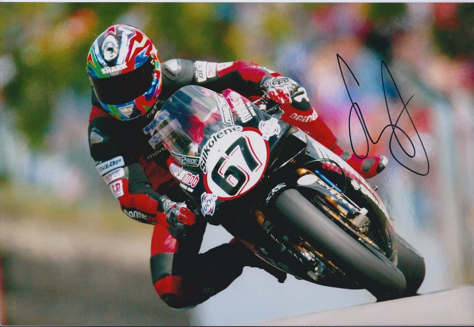 Shane BYRNE 12x8 SIGNED Photo Poster painting Superbike Champion DUCATI Autograph AFTAL COA