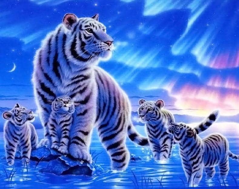 

White Night tiger – Paint By Numbers - 40*50CM, 501 Original