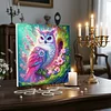 Framed Diamond Painting - Special Shaped - Pink Owl (25x25cm)
