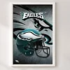 NFL Philadelphia Eagles Football-11CT Stamped Cross Stitch 35*50cm