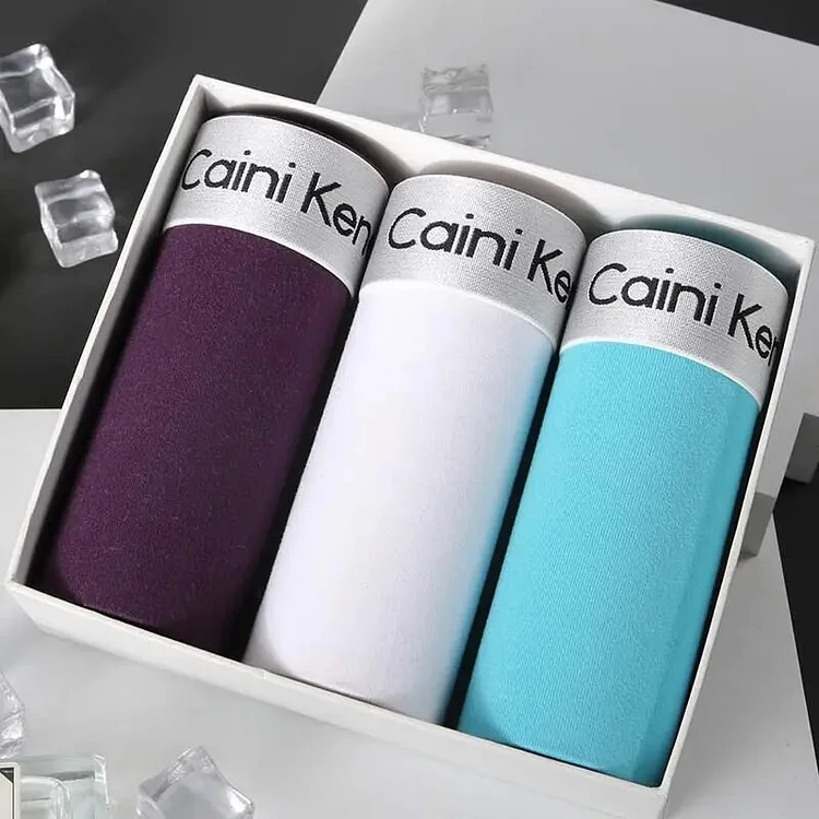 Wlkwo 3Pcs Underwear For Men Male Boxers Sexy Underpants Comfortable Breathable Fashion Boys Panties Underwear Boxershorts