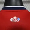2024/2025 Player Version Lille Home Football Shirt 1:1 Thai Quality