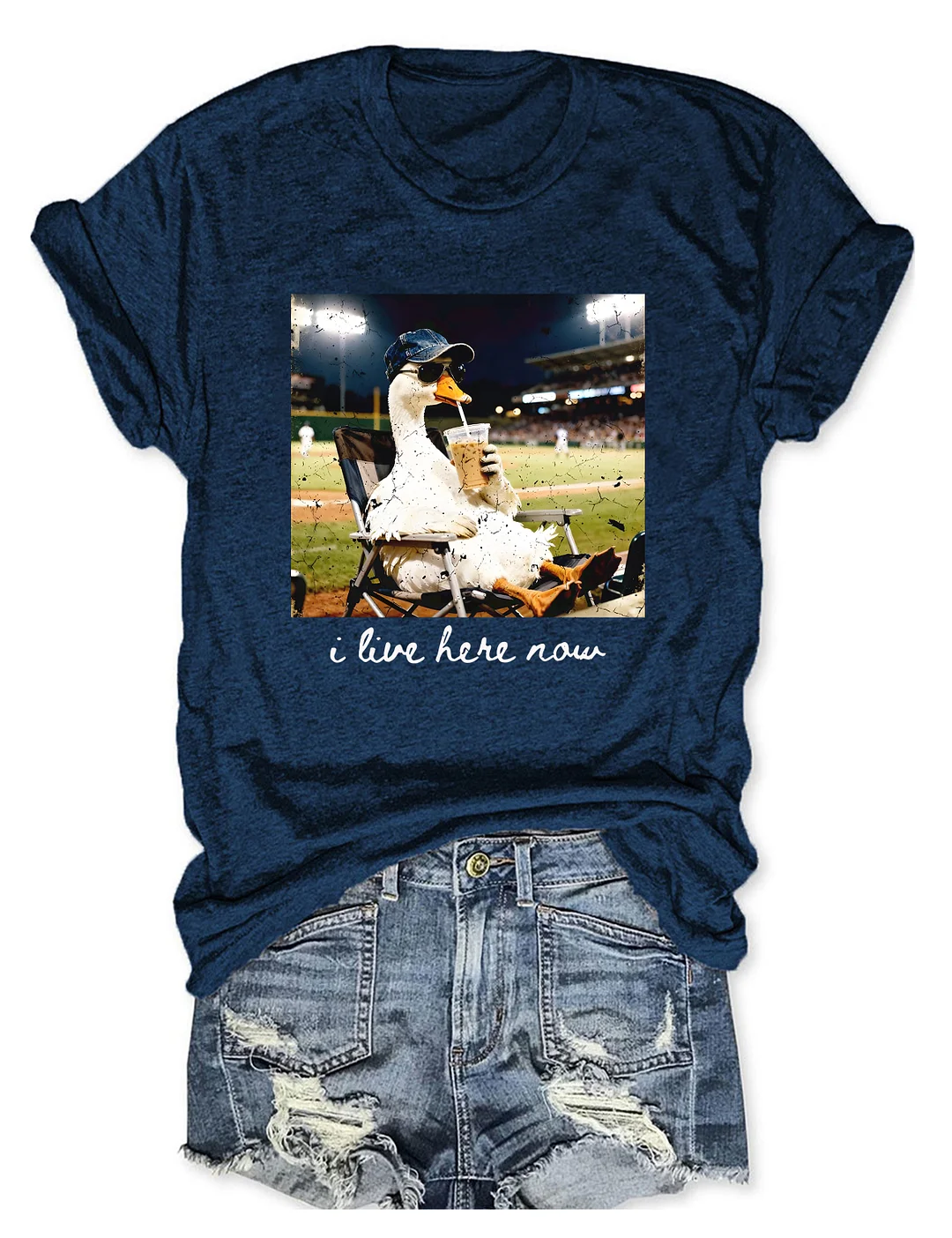 I live Here Now Goose Ballfield T-shirt