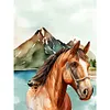 Diamond Painting -DIY Round Drill Horse