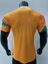 2023 Player Version Ivory Coast Special Edition Soccer Jersey