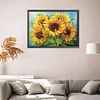 (Counted/Stamped)(Big Size) 11CT Sunflower- Cross Stitch  50*65cm/19.69*25.59in