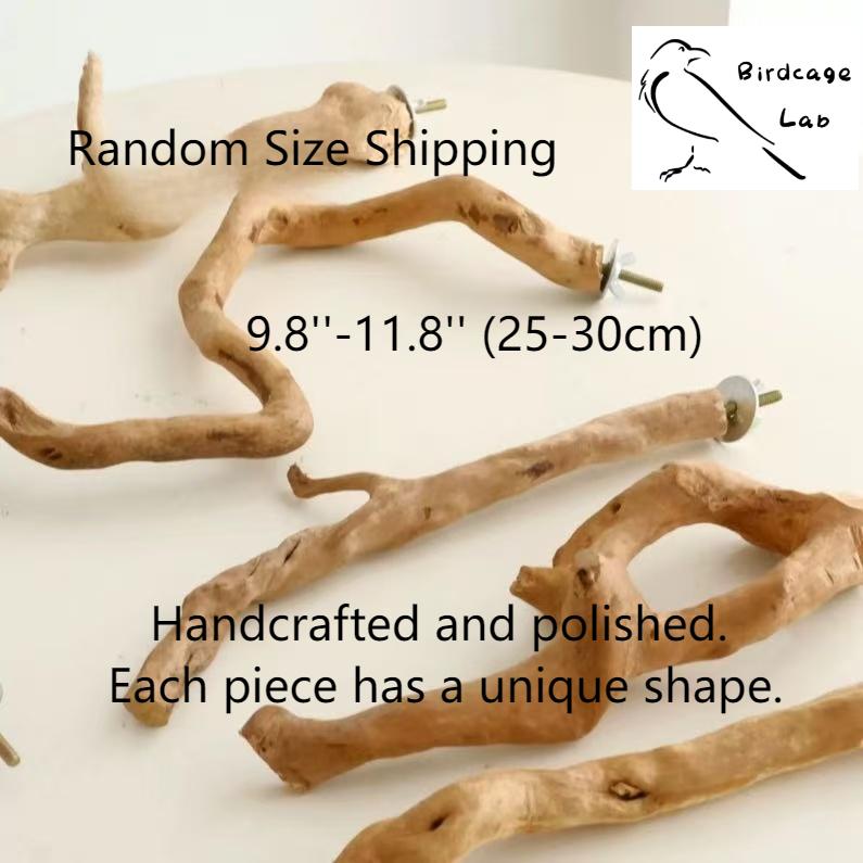 Premium Parrot Rhododendron Wood Perch Swing  Birdcagelab