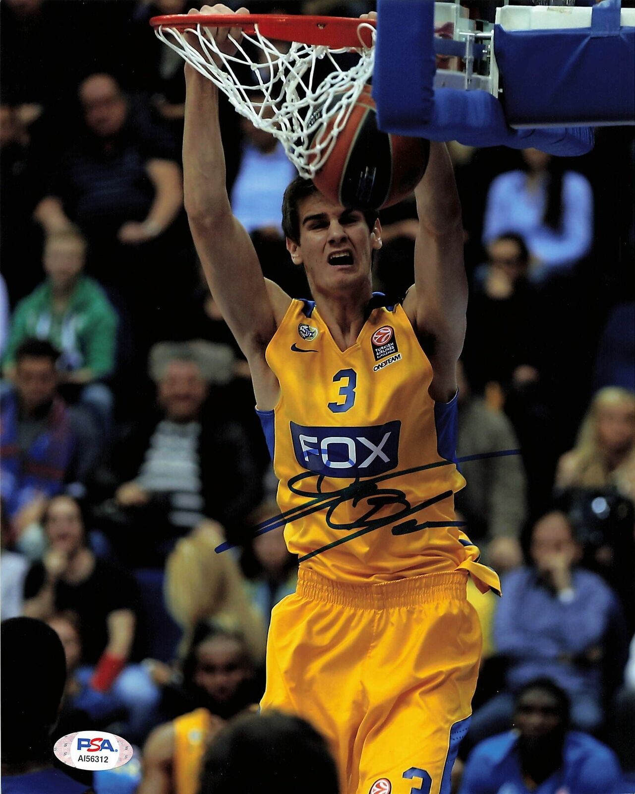 Dragan Bender signed 8x10 Photo Poster painting PSA/DNA Phoenix Suns Fox Autographed