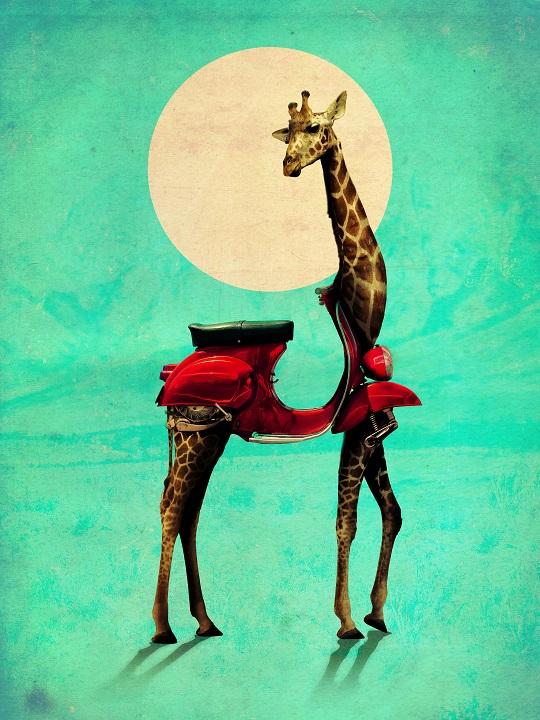 

Giraffe Moon – Paint By Numbers - 40*50CM, 501 Original