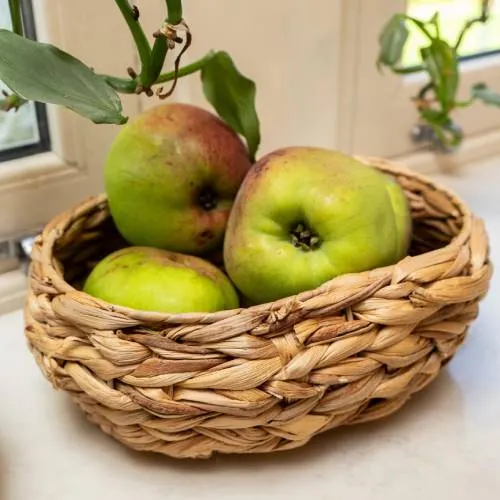 Water Hyacinth Round Basket