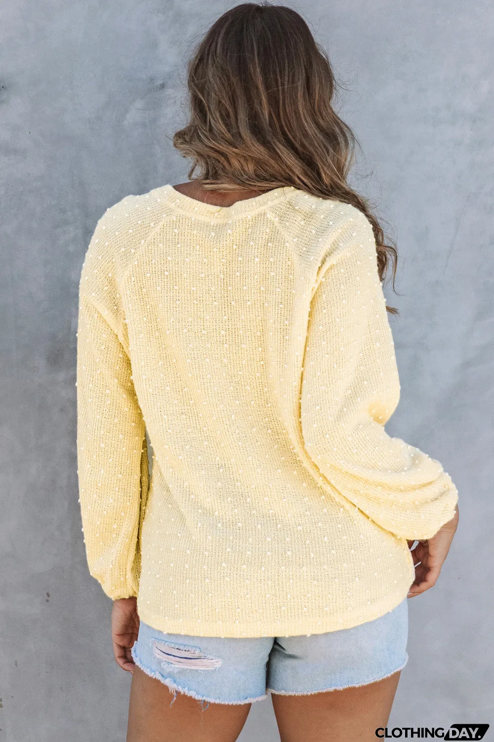 Swiss Dot Raglan Sleeves Knit Top