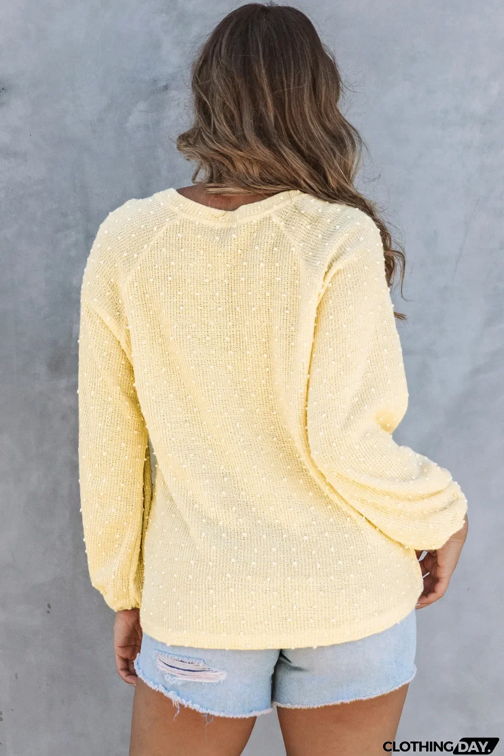 Swiss Dot Raglan Sleeves Knit Top