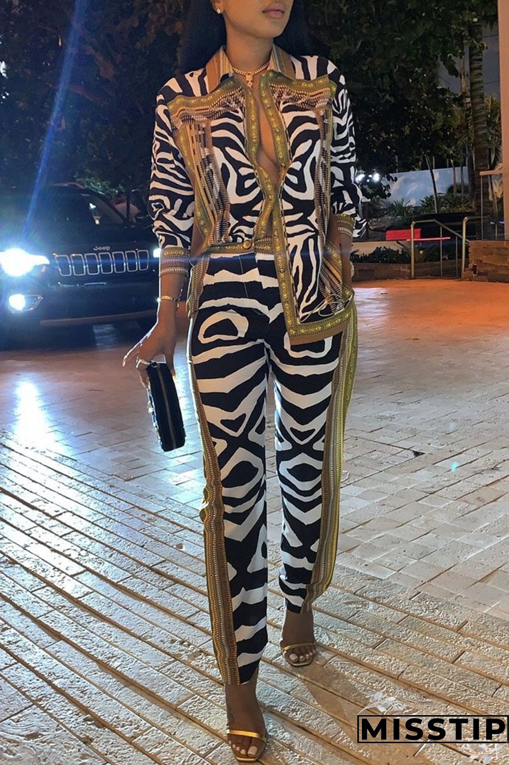 Multicolor Fashion Casual Print Patchwork Turndown Collar Long Sleeve Two Pieces