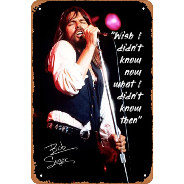 Bob Seger - Vintage Tin Signs/Wooden Signs 8*12Inch/12*16Inch