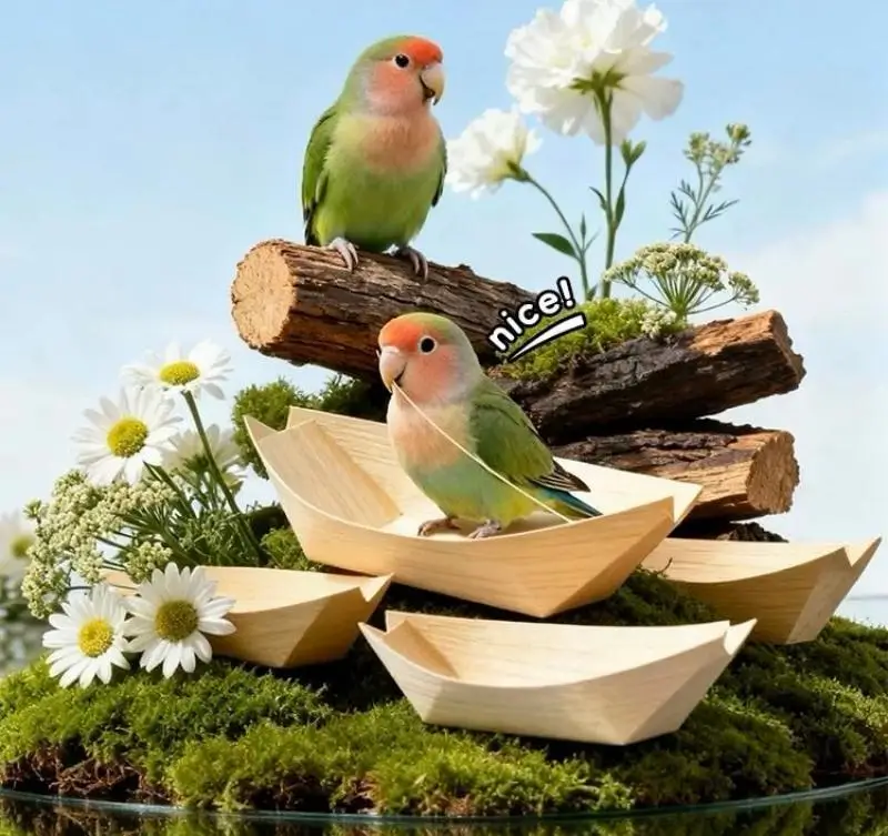 Bird Wood Boat  Birdcagelab