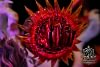 1/6 Scale Gear Fourth Snakeman Monkey D. Luffy with LED - ONE PIECE Resin Statue - TAM Studio