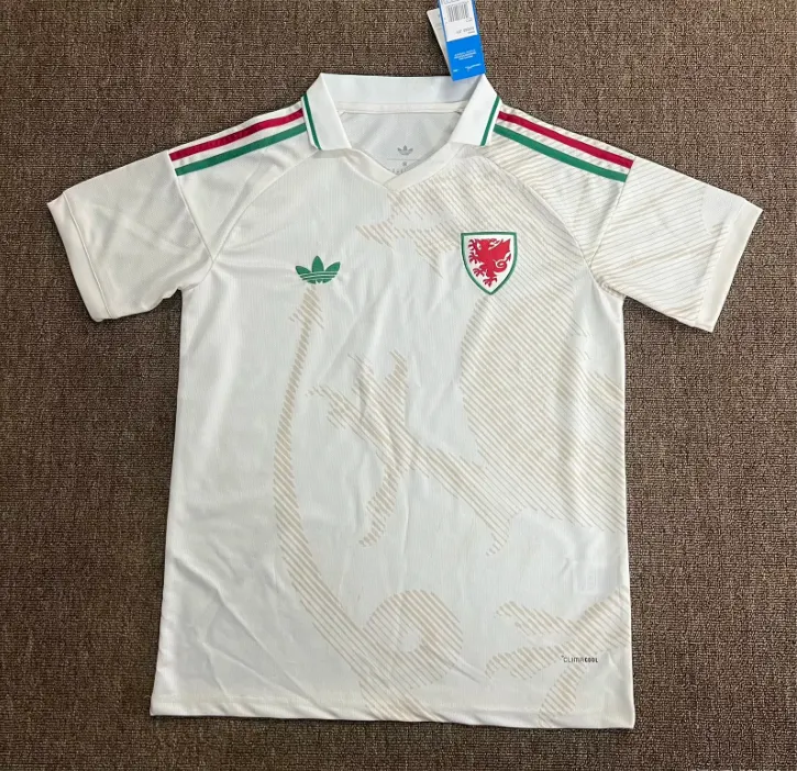 2026 Wales Away Match - Fan Version