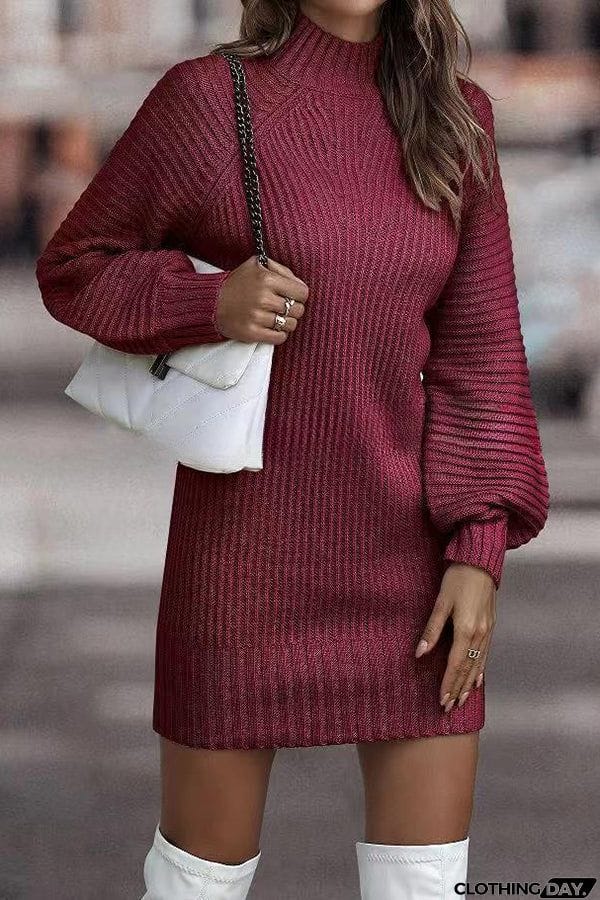Rieuh Turtleneck Long Sleeve Knitted Mini Dress