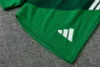 Algeria 26-27 Short-sleeve Tracksuit  Green Chandal  