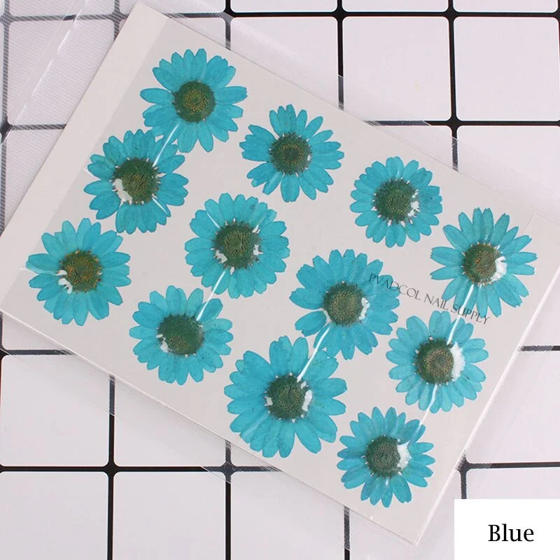 12pcs/lot 3D Nail Art Dried Flowers Acrylic UV Gel Nails Tips Salon Manicure Decoration-Nail Inspo