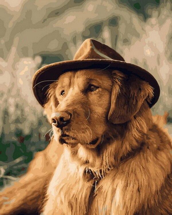 

Mr Dog – Paint By Numbers - 40*50CM, 501 Original