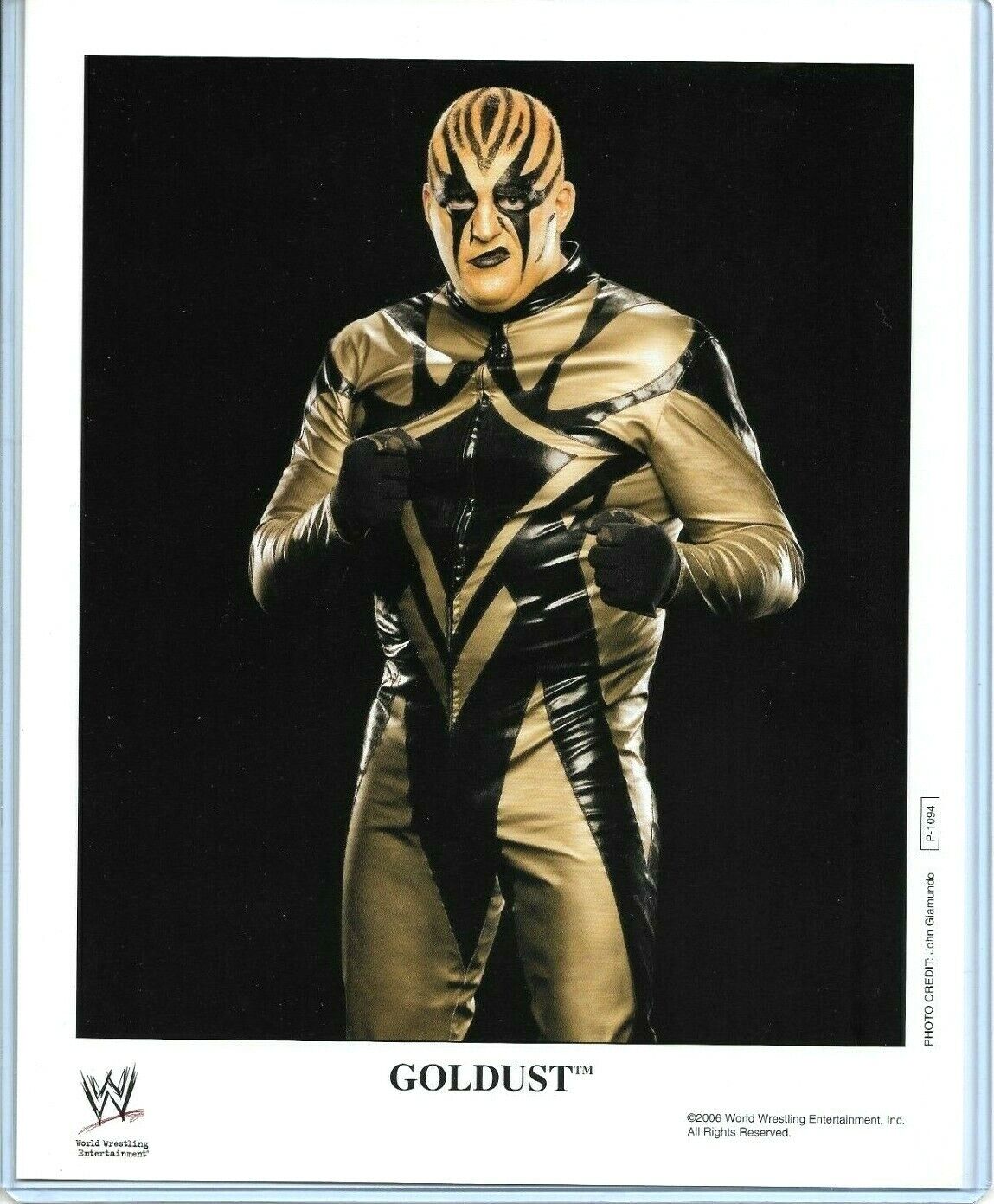 WWE GOLDUST P-1094 OFFICIAL LICENSED AUTHENTIC ORIGINAL 8X10 PROMO Photo Poster painting RARE