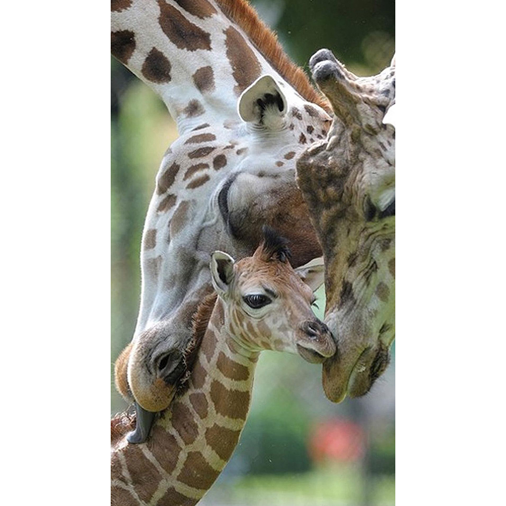 

Giraffe Family - Round Drill Diamond Painting - 30*60CM (Big Size), 501 Original