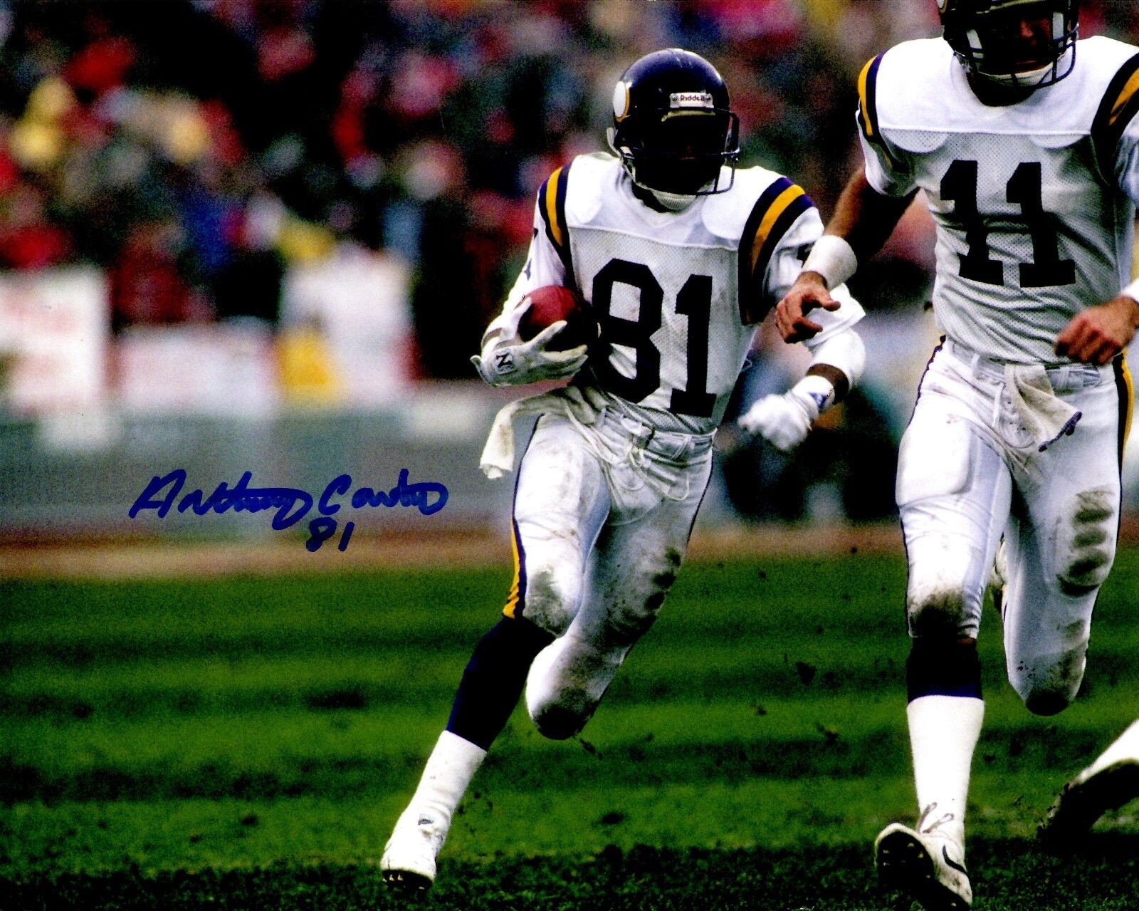 Autographed ANTHONY CARTER 8X10 Minnesota Vikings Photo Poster painting -w/ COA