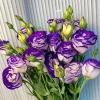🔥&Tau;&epsilon;&lambda;&epsilon;&upsilon;&tau;&alpha;ί&alpha; &mu;έ&rho;&alpha; &pi;ώ&lambda;&eta;&sigma;&eta;&sigmaf;💝Eustoma Thornless Rose💐&Sigma;&pi;ό&rho;&omicron;&iota; Lisianthus