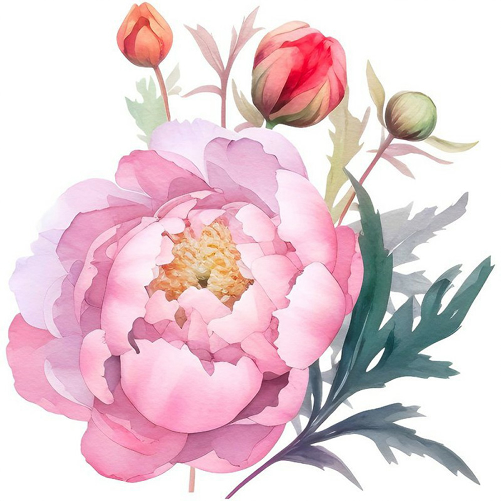 Hibiscus Flower-Paint by Numbers-30x30cm