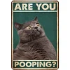 Funny"Are You Pooping Cat" - Vintage Metal Signs(12*16Inch) - Cat