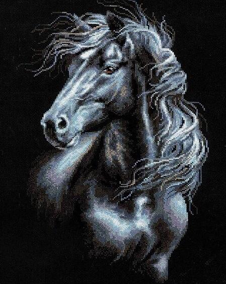 

Black And White Horse – Paint By Numbers - 40*50CM, 501 Original