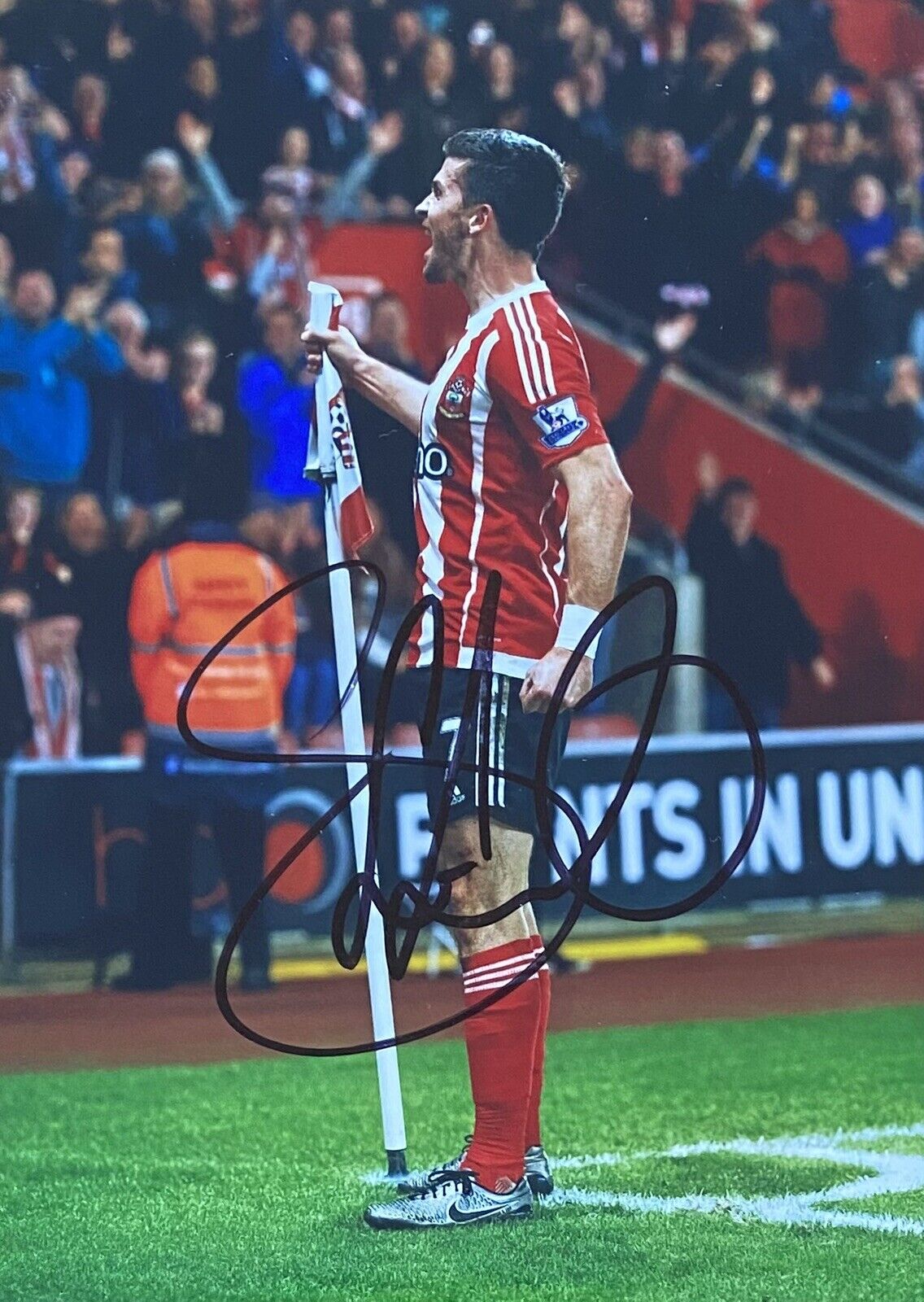 Shane Long Genuine Hand Signed Southampton 6X4 Photo Poster painting