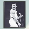 Singer - 11CT Stamped Cross Stitch - 40*50cm