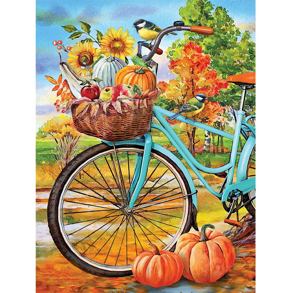 

(Multi-Size) Pumpkin Bike - Round/Square Drill Diamond Painting - 30*40CM, Square diamond 30*40cm, 501 Original