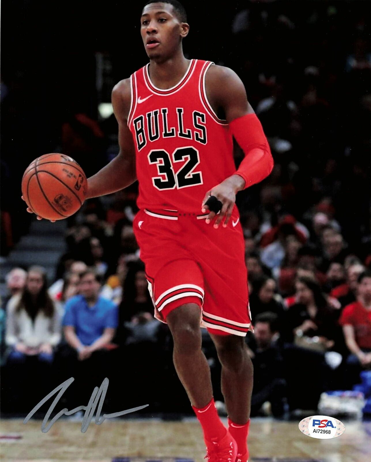 KRIS DUNN signed 8x10 Photo Poster painting PSA/DNA Chicago Bulls Autographed