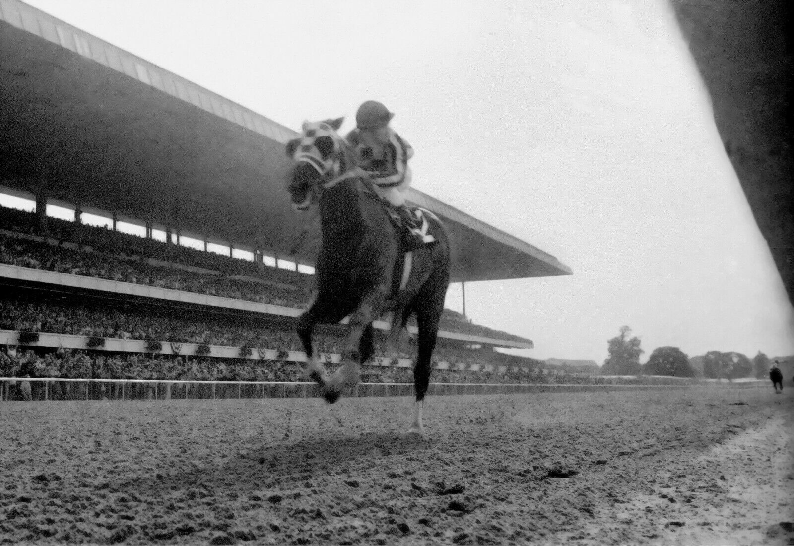 1973 Ron Turcotte SECRETARIAT Belmont Stakes Horse Racing 8x10 Photo Poster painting TripleCrown