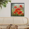 Coquelicot-Ronde Drill Diamant Peinture -40*40CM 
