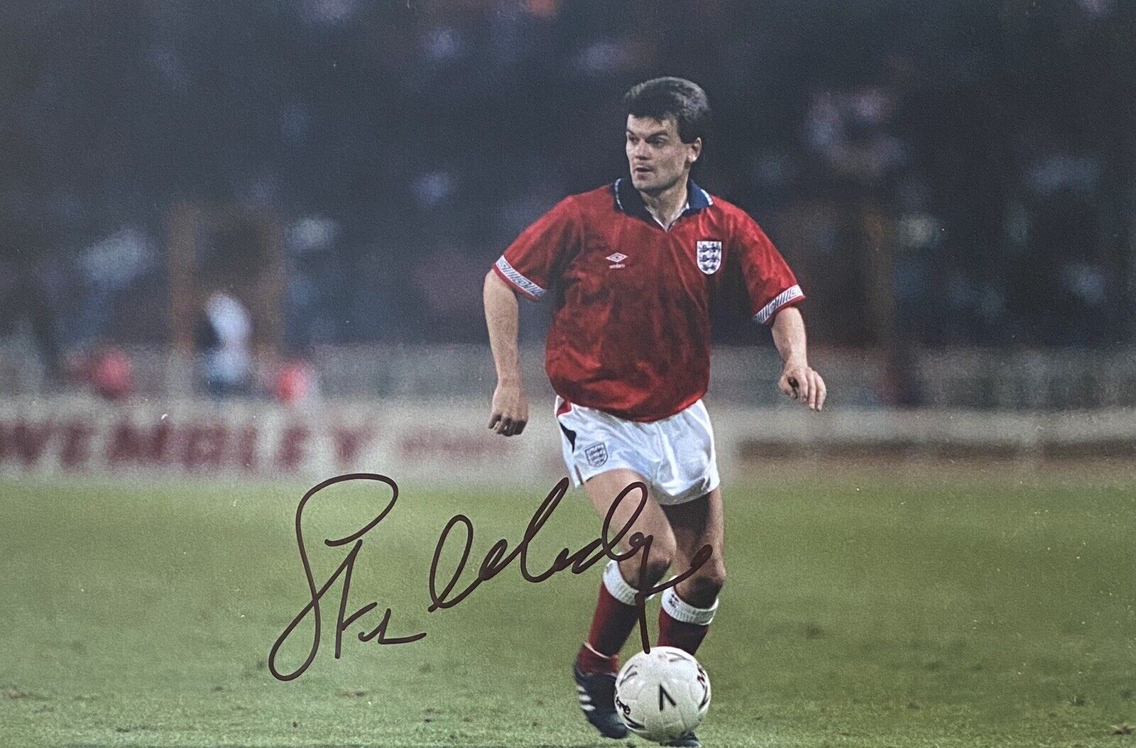 Steve Hodge Genuine Hand Signed England 12x8 Photo Poster painting