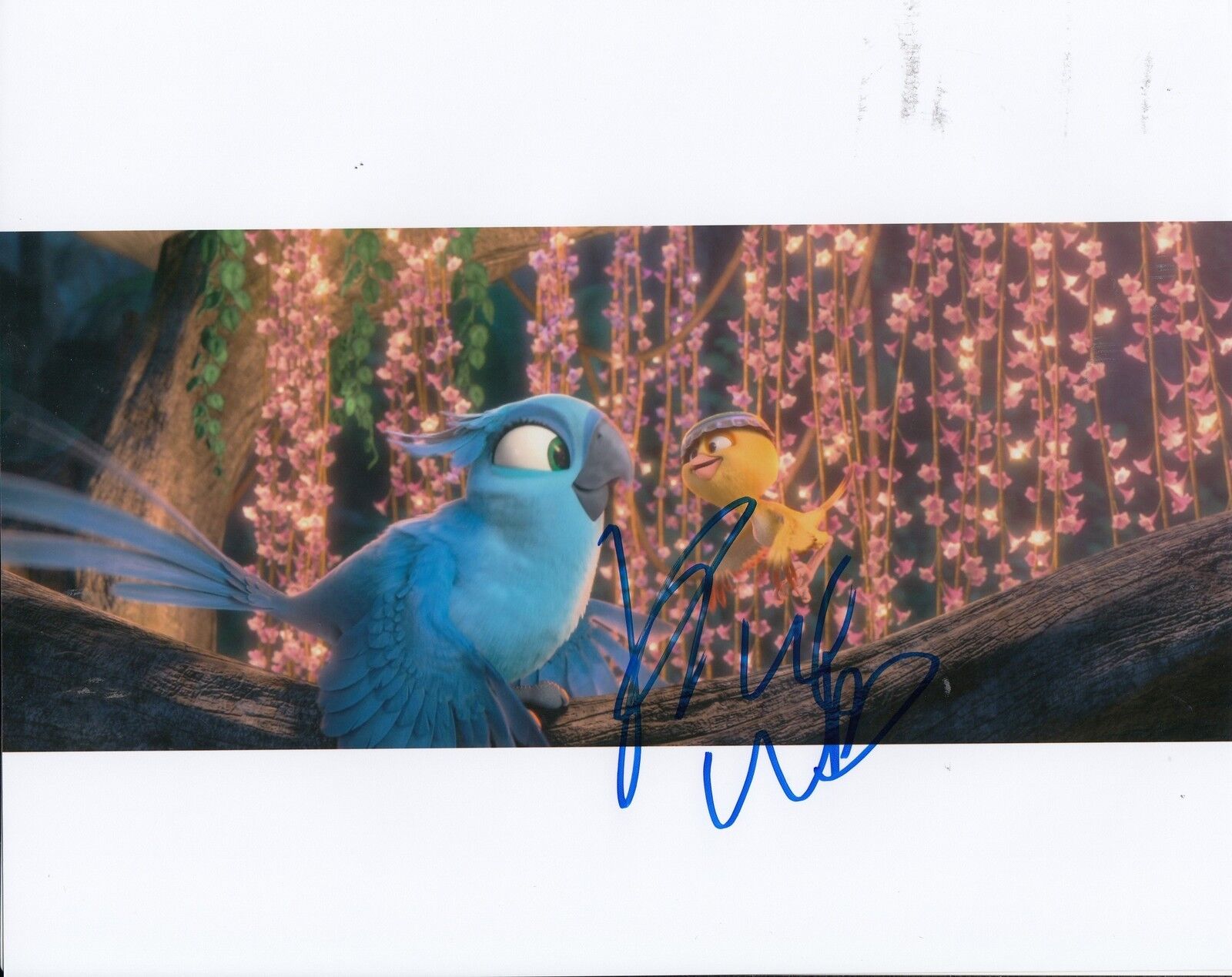 RACHEL CROW signed *RIO 2* MOVIE 8X10 Photo Poster painting CARLA *PROOF* W/COA #2