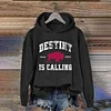 Destiny Is Calling Buffalo Bills Hoodie