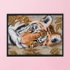 (Counted/Stamped) 14CT Tiger Lying Down - Cross Stitch 29*21cm/11.42*8.27in(Brand)