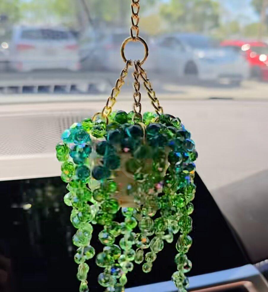Plant suncatcher window photo note