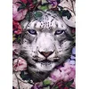 Cheetah  | Full Round Diamond Painting Kits