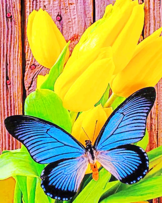 

Yellow Tulip And Blue Butterfly – Paint By Numbers - 40*50CM, 501 Original