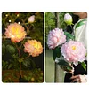 Solar Garden Decorative Light LED Rose Shape Stake Light for Garden Yard Backyard Waterproof