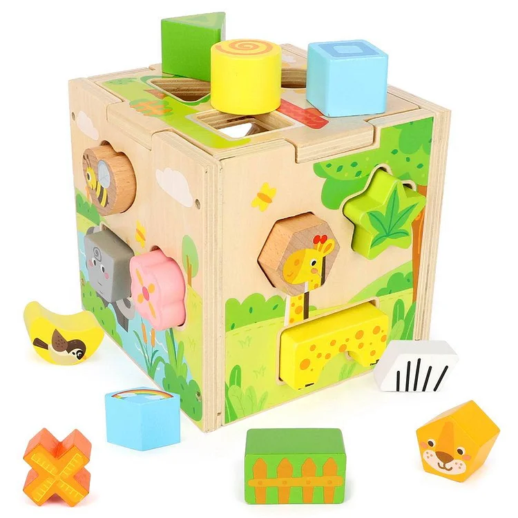 Wood Shape Sorter Cube Toys